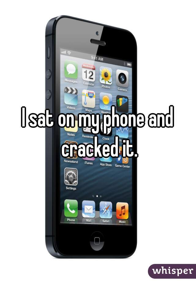 I sat on my phone and cracked it.