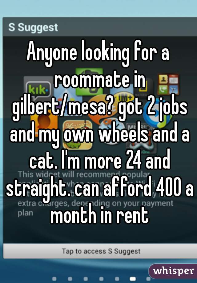 Anyone looking for a roommate in gilbert/mesa? got 2 jobs and my own wheels and a cat. I'm more 24 and straight. can afford 400 a month in rent