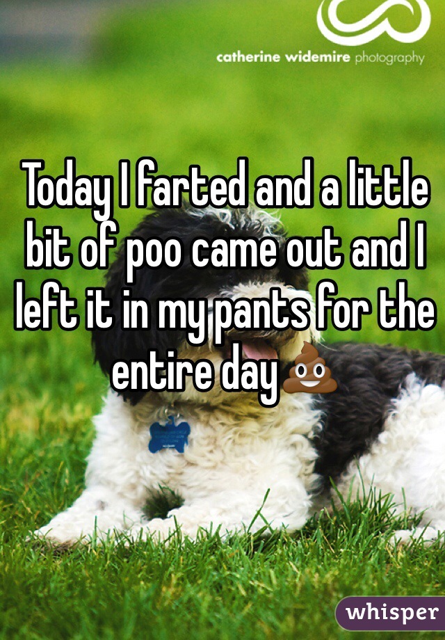 Today I farted and a little bit of poo came out and I left it in my pants for the entire day💩