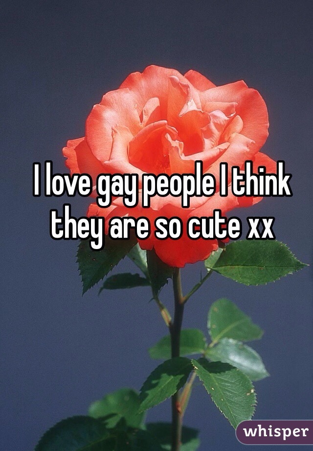 I love gay people I think they are so cute xx