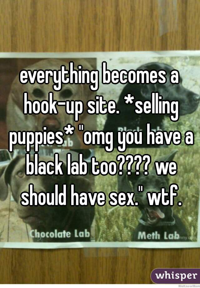 everything becomes a hook-up site. *selling puppies* "omg you have a black lab too???? we should have sex." wtf.