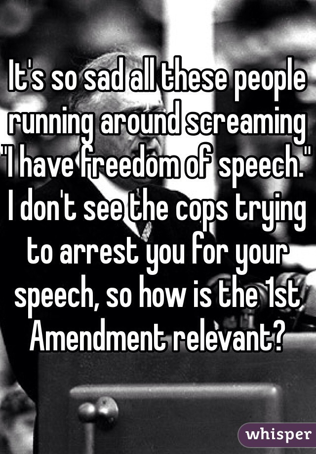 It's so sad all these people running around screaming "I have freedom of speech." 
I don't see the cops trying to arrest you for your speech, so how is the 1st Amendment relevant? 