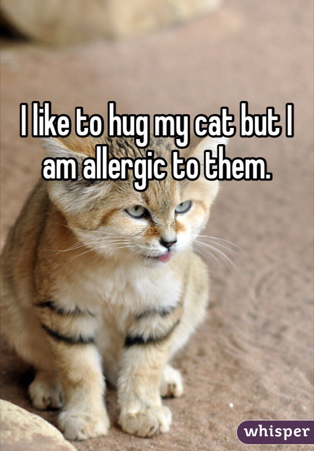 I like to hug my cat but I am allergic to them. 