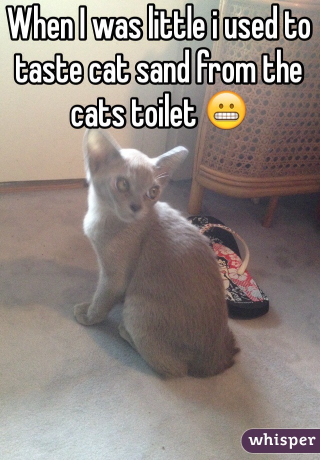 When I was little i used to taste cat sand from the cats toilet 😬