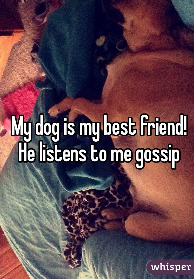 My dog is my best friend! He listens to me gossip