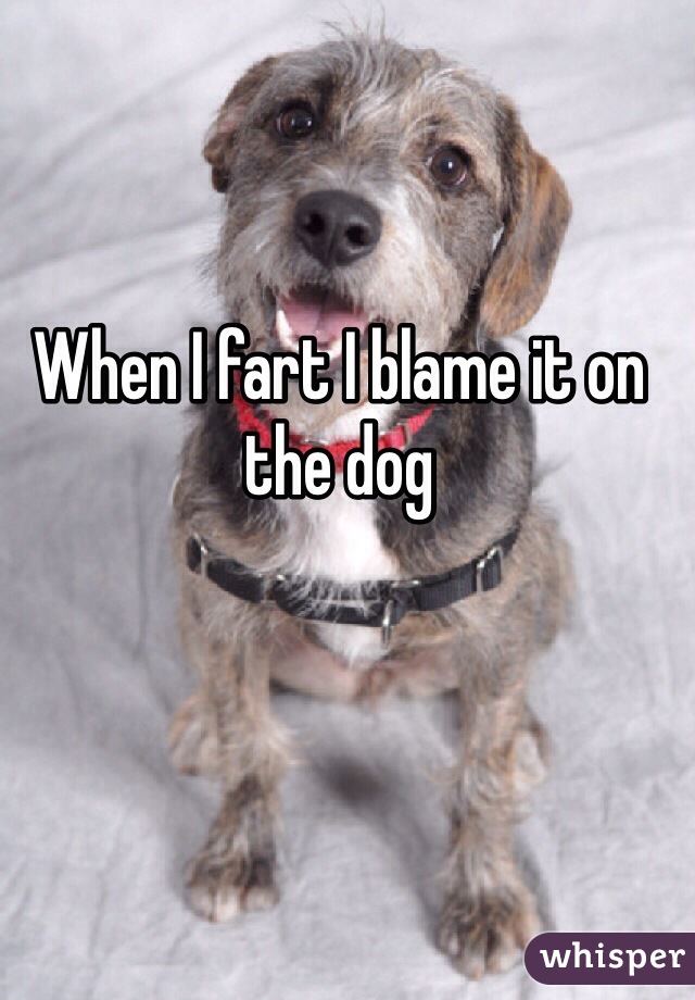 When I fart I blame it on the dog