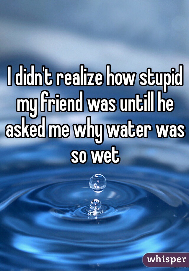 I didn't realize how stupid my friend was untill he asked me why water was so wet