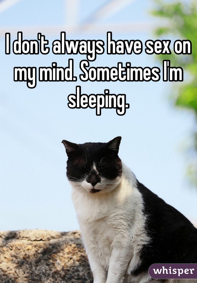 I don't always have sex on my mind. Sometimes I'm sleeping. 