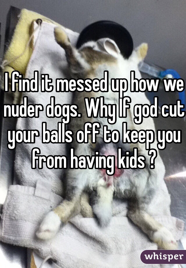 I find it messed up how we nuder dogs. Why If god cut your balls off to keep you from having kids ? 