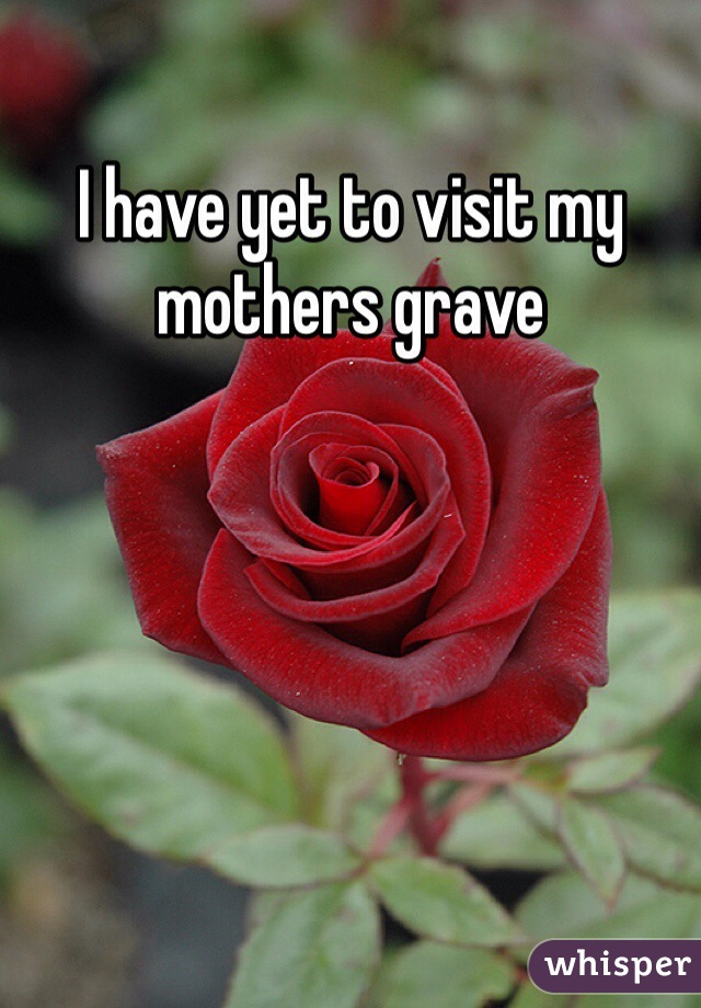 I have yet to visit my mothers grave