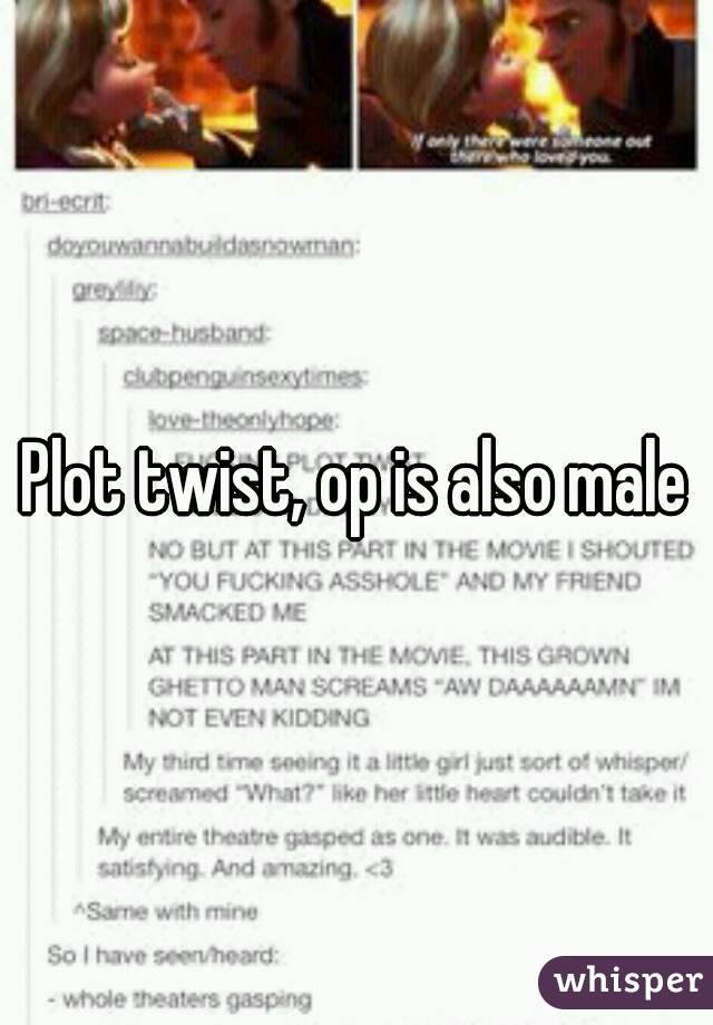 Plot twist, op is also male