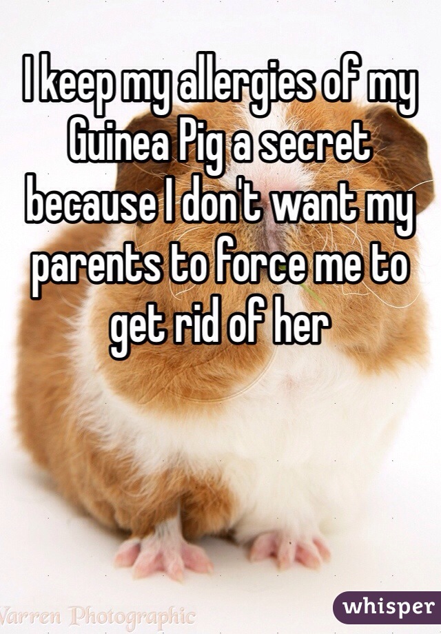 I keep my allergies of my Guinea Pig a secret because I don't want my parents to force me to get rid of her