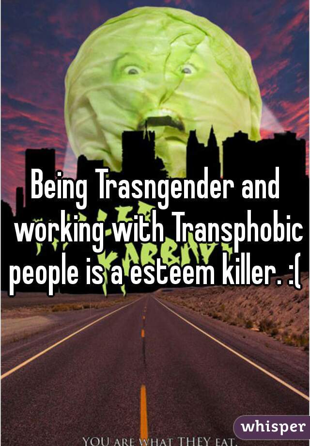 Being Trasngender and working with Transphobic people is a esteem killer. :( 