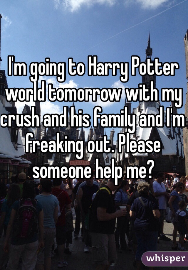 I'm going to Harry Potter world tomorrow with my crush and his family and I'm freaking out. Please someone help me?