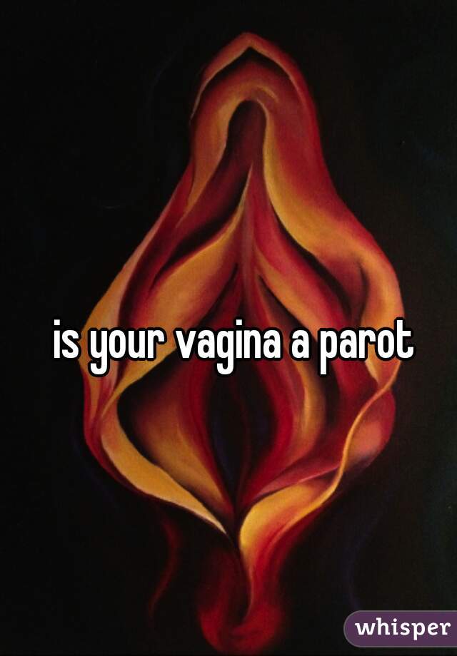 is your vagina a parot