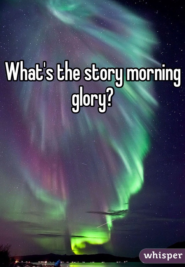 What's the story morning glory?