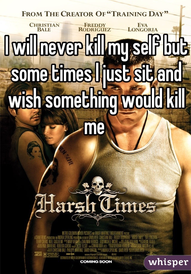 I will never kill my self but some times I just sit and wish something would kill me 