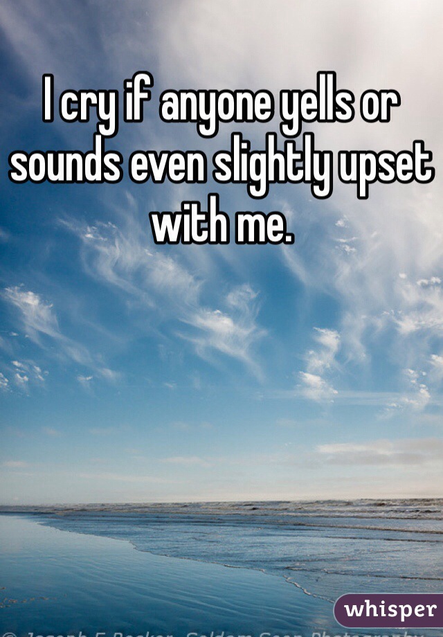 I cry if anyone yells or sounds even slightly upset with me. 