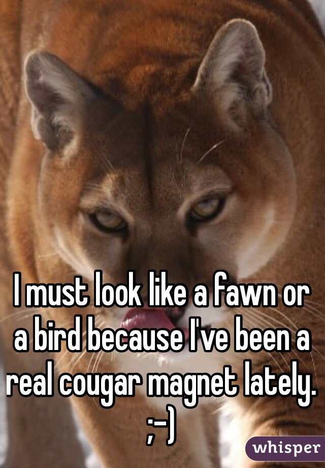 I must look like a fawn or a bird because I've been a real cougar magnet lately. ;-)