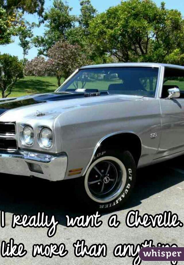 I really want a Chevelle. 
like more than anything. 