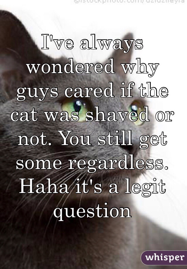 I've always wondered why guys cared if the cat was shaved or not. You still get some regardless.  Haha it's a legit question 