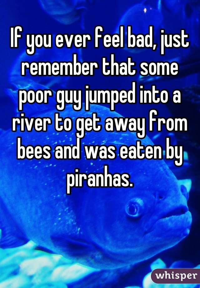 If you ever feel bad, just remember that some poor guy jumped into a river to get away from bees and was eaten by piranhas.