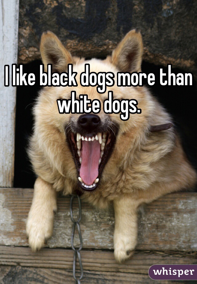 I like black dogs more than white dogs.