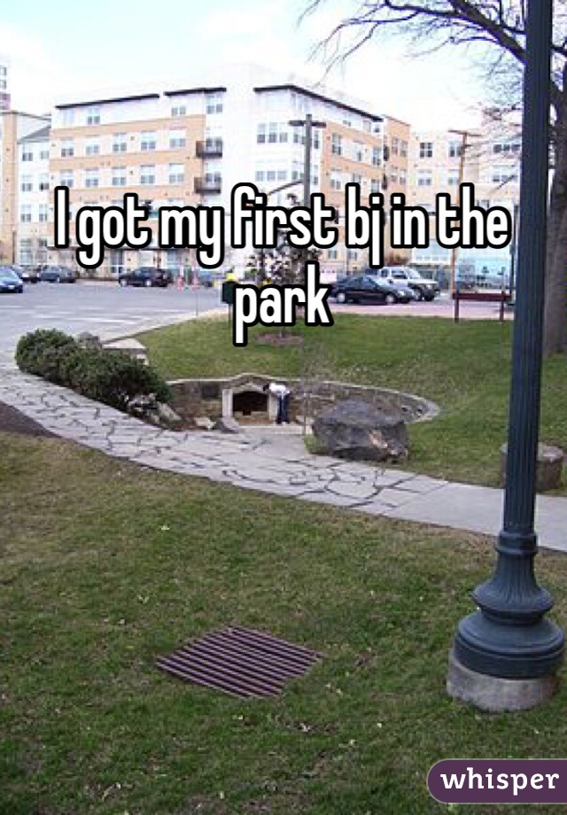 I got my first bj in the park 