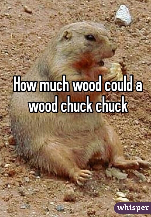 How much wood could a wood chuck chuck 