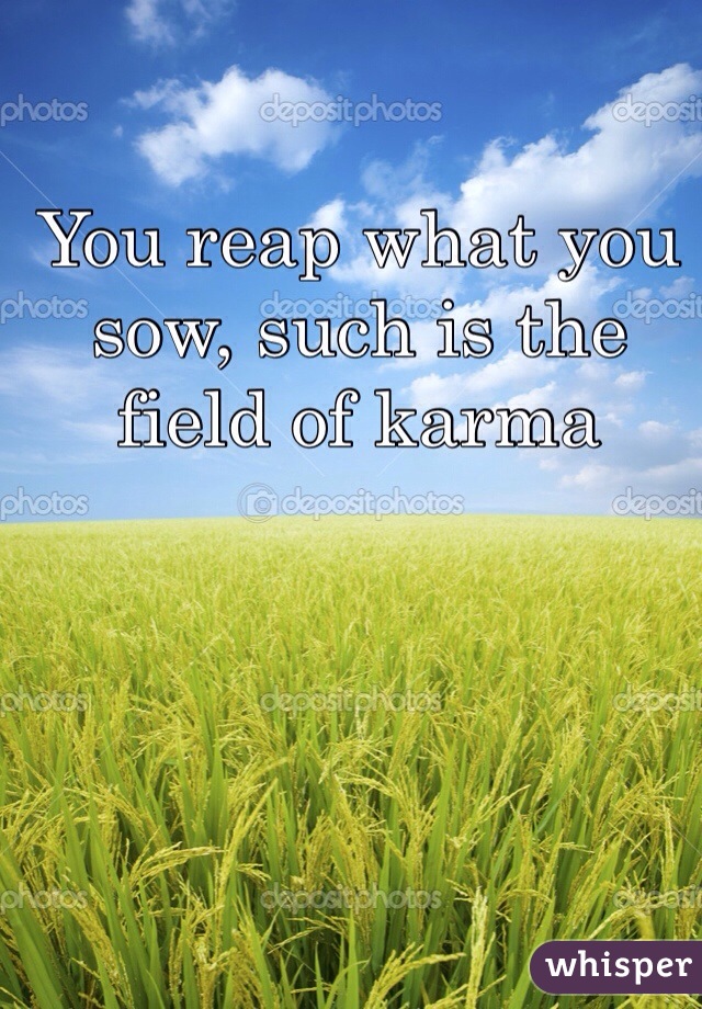 You reap what you sow, such is the field of karma 