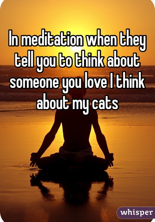 In meditation when they tell you to think about someone you love I think about my cats