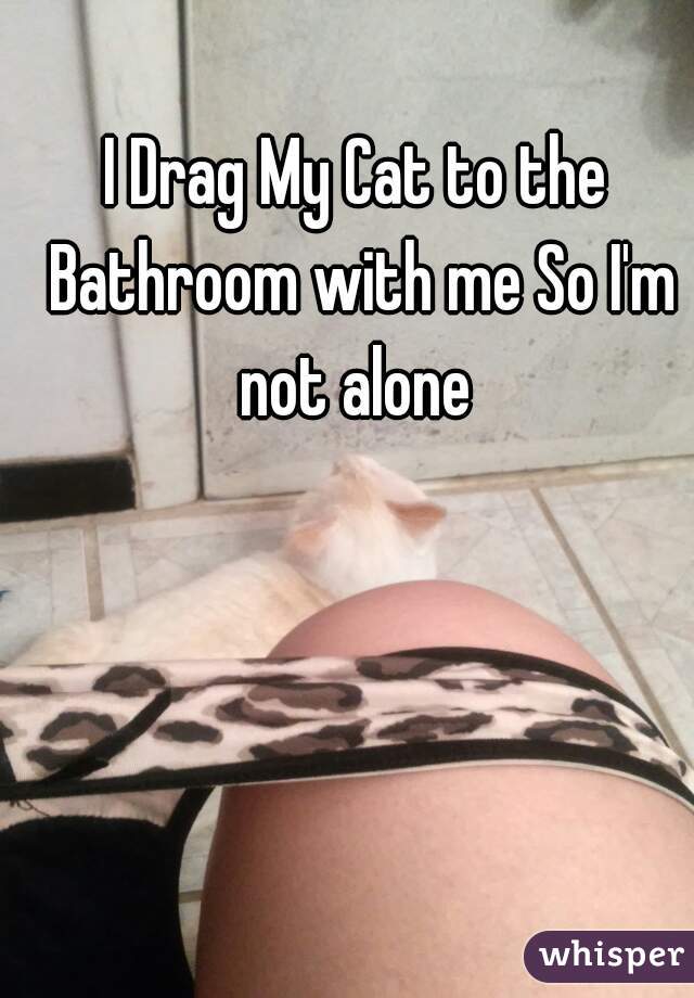 I Drag My Cat to the Bathroom with me So I'm not alone 