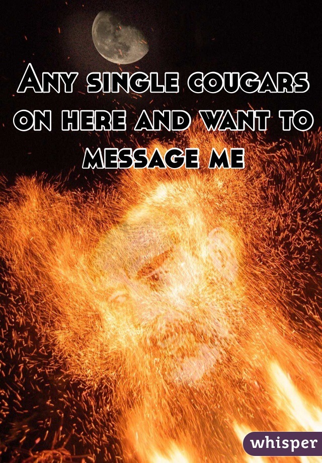 Any single cougars on here and want to message me 