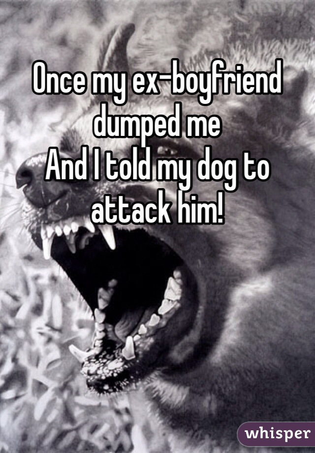 Once my ex-boyfriend dumped me 
And I told my dog to attack him!