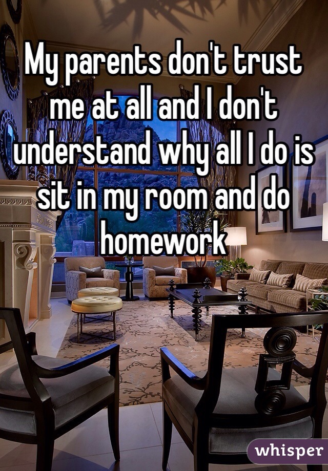 My parents don't trust me at all and I don't understand why all I do is sit in my room and do homework