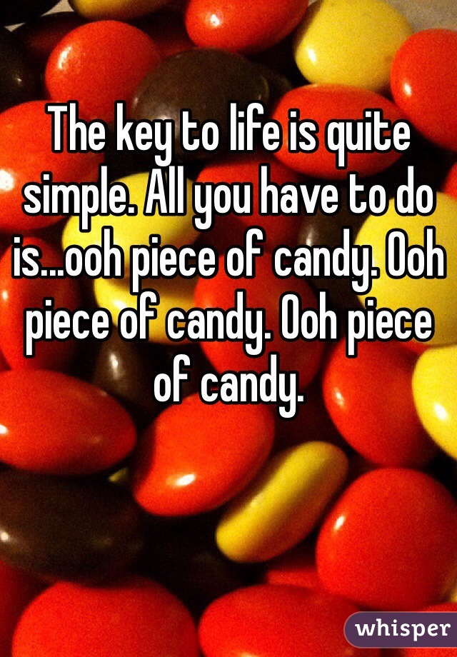 The key to life is quite simple. All you have to do is...ooh piece of candy. Ooh piece of candy. Ooh piece of candy. 