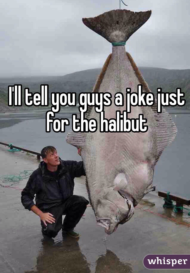 I'll tell you guys a joke just for the halibut 





