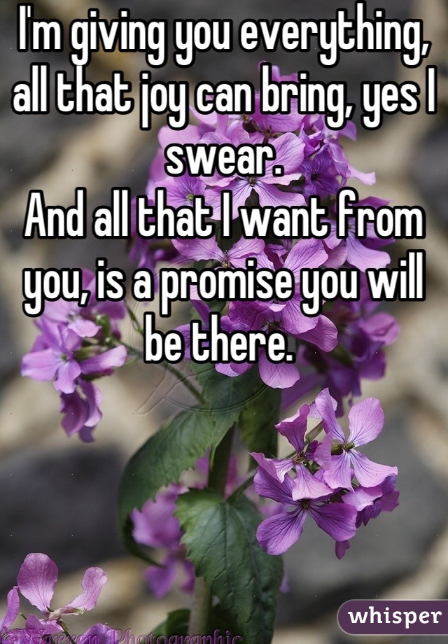 I'm giving you everything, all that joy can bring, yes I swear. 
And all that I want from you, is a promise you will be there. 