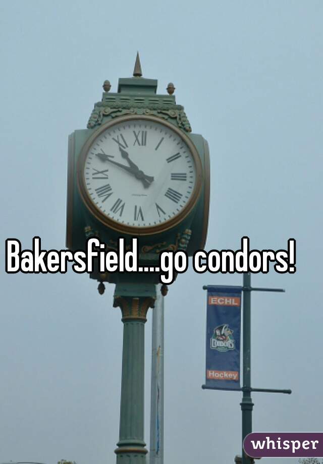 Bakersfield....go condors!