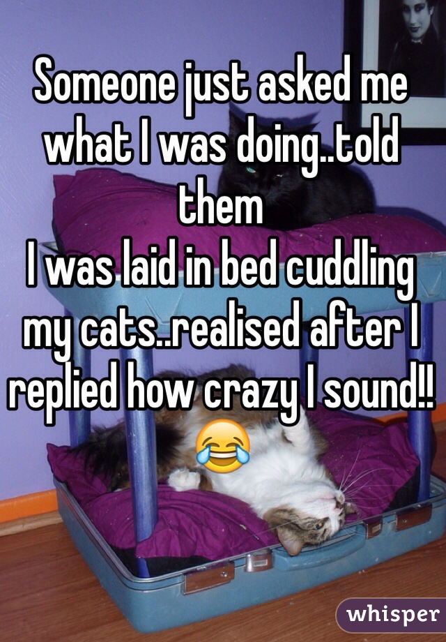 Someone just asked me what I was doing..told them
I was laid in bed cuddling my cats..realised after I replied how crazy I sound!!😂