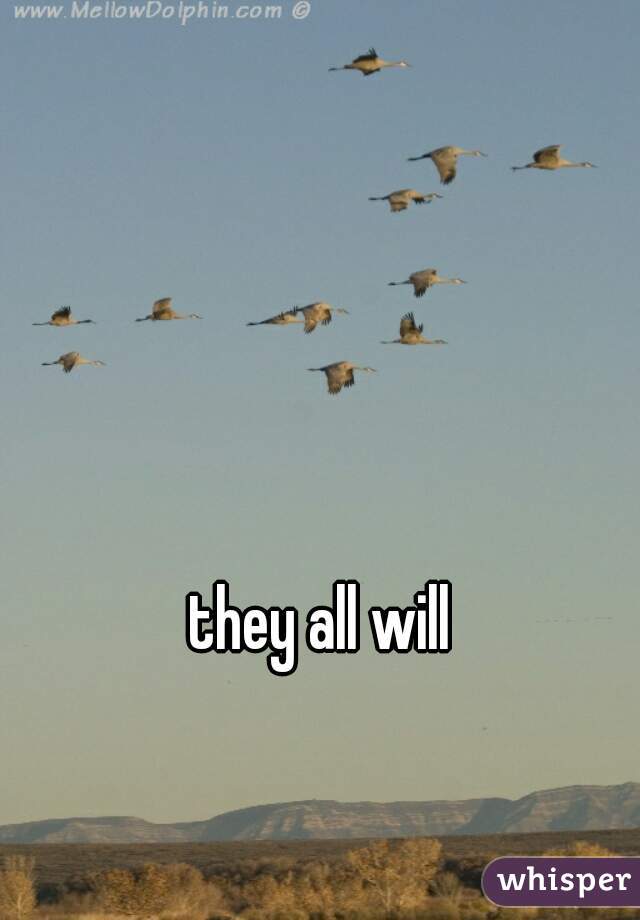 they all will