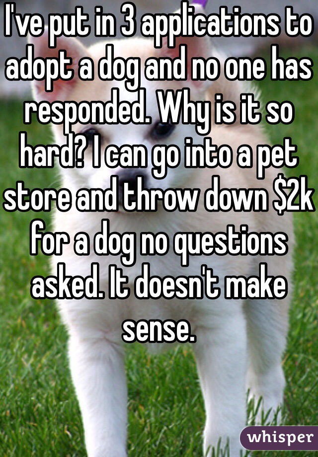 I've put in 3 applications to adopt a dog and no one has responded. Why is it so hard? I can go into a pet store and throw down $2k for a dog no questions asked. It doesn't make sense. 