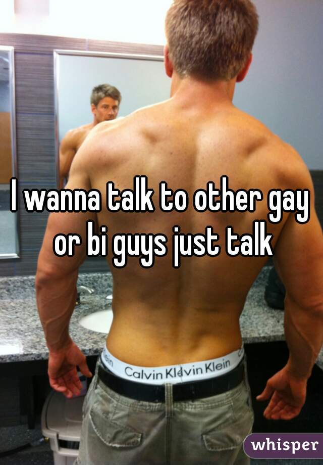 I wanna talk to other gay or bi guys just talk