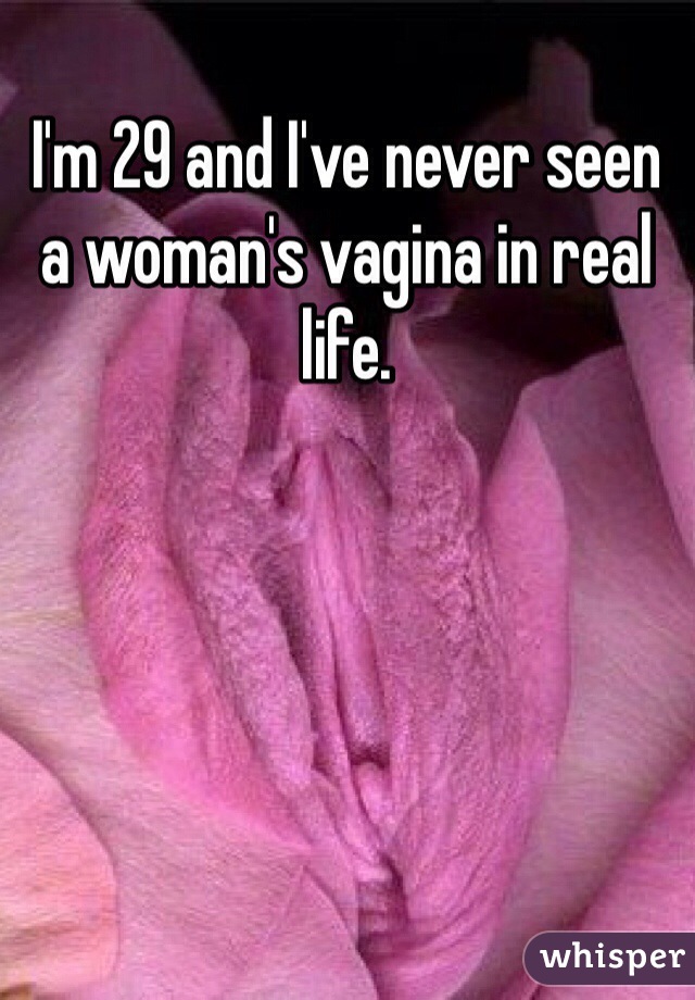 I'm 29 and I've never seen a woman's vagina in real life.