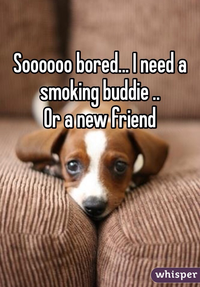 Soooooo bored... I need a smoking buddie ..
Or a new friend 