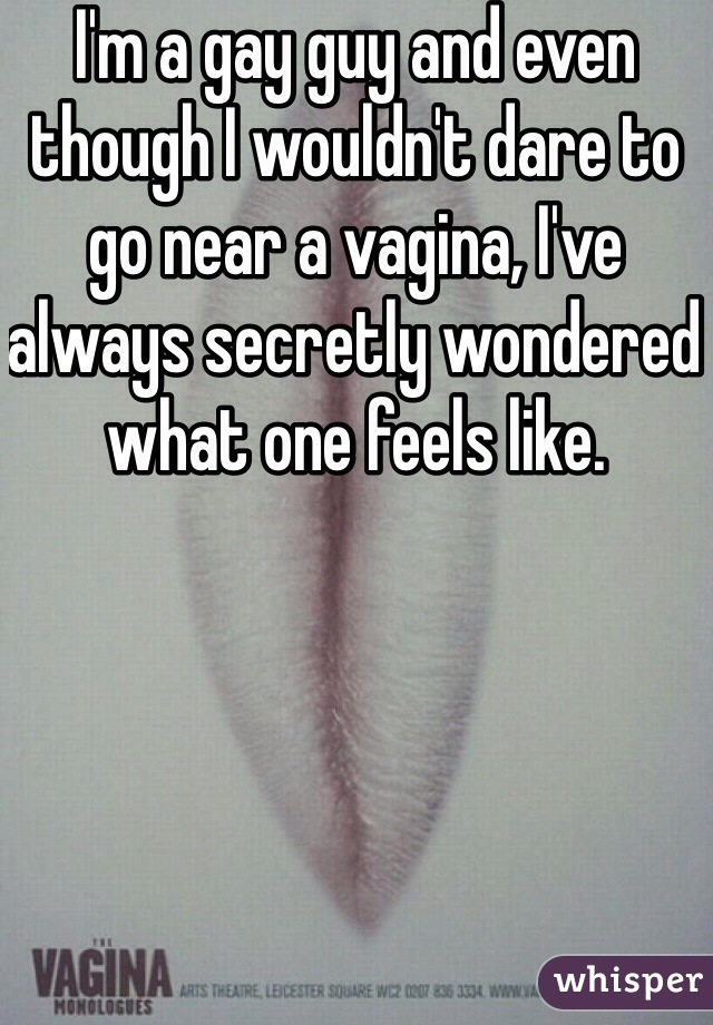 I'm a gay guy and even though I wouldn't dare to go near a vagina, I've always secretly wondered what one feels like.