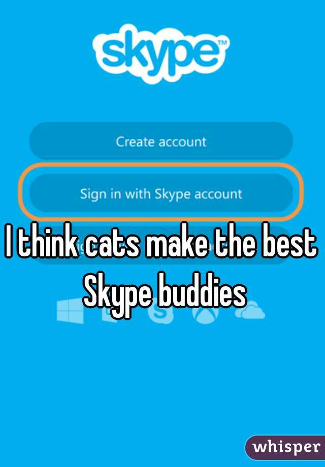 I think cats make the best Skype buddies