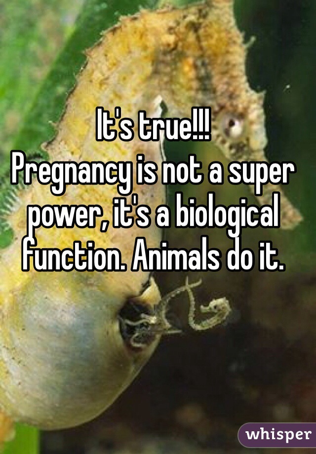 It's true!!!
Pregnancy is not a super power, it's a biological function. Animals do it. 