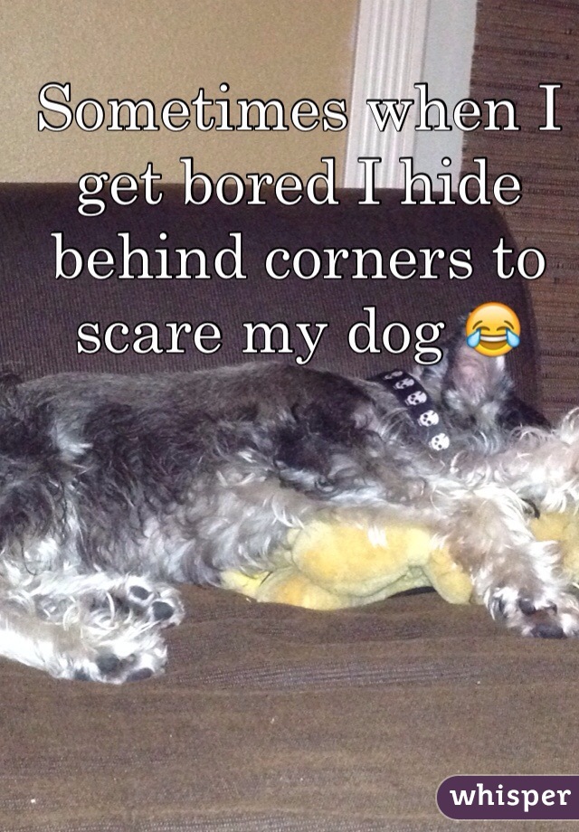 Sometimes when I get bored I hide behind corners to scare my dog 😂