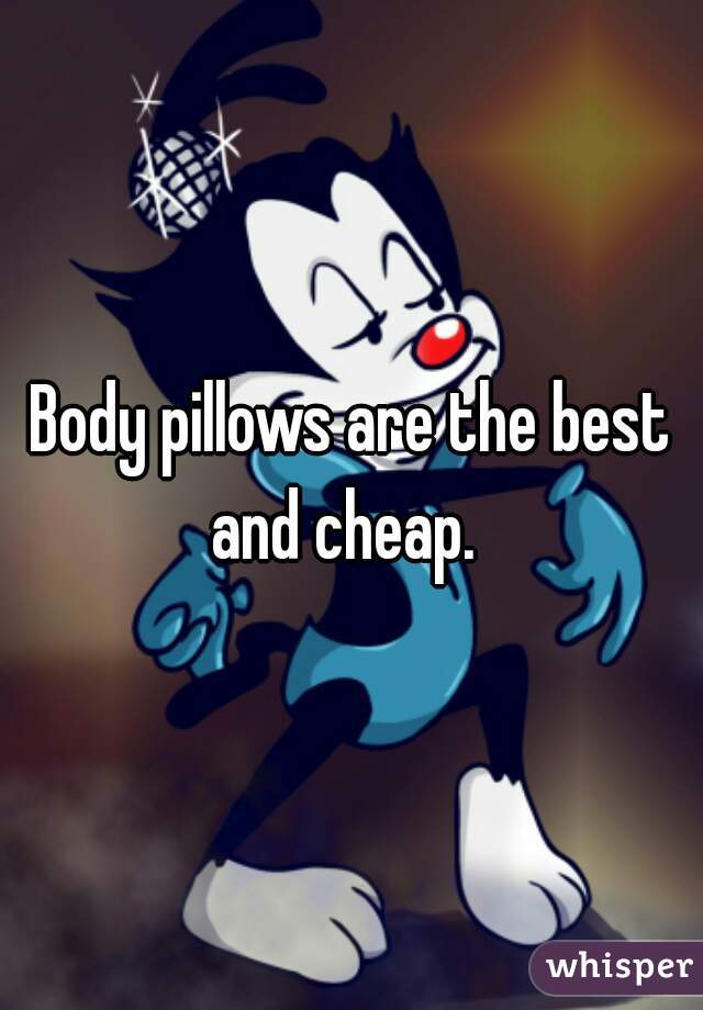 Body pillows are the best and cheap.  